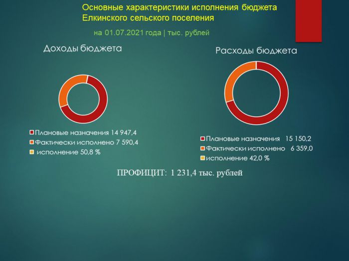 Основные характеристики исполнения бюджета Елкинского сельского поселения на 01.07.2021