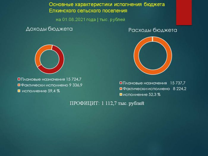 Основные характеристики исполнения бюджета Елкинского сельского поселения на 01.08.2021