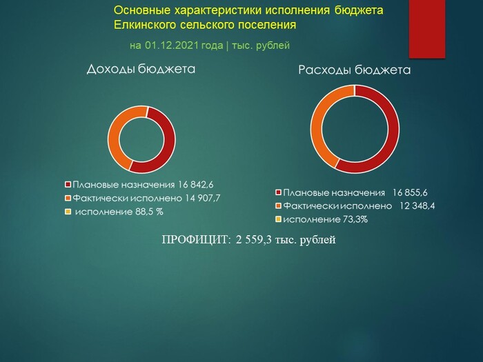 Основные характеристики исполнения бюджета Елкинского сельского поселения на 01.12.2021