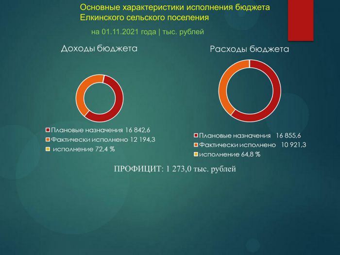 Основные характеристики исполнения бюджета Елкинского сельского поселения на 01.11.2021 года