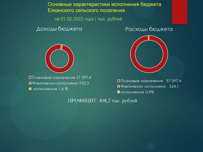 Основные характеристики исполнения бюджета Елкинского сельского поселения на 01.02.2022